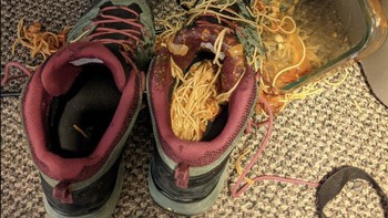 Mau makan malah apes. Foto: Bored Panda