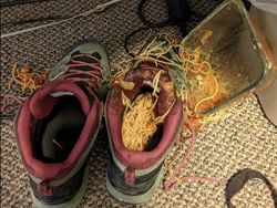 Ngakak Tapi Kasihan, Momen Orang Apes Banget