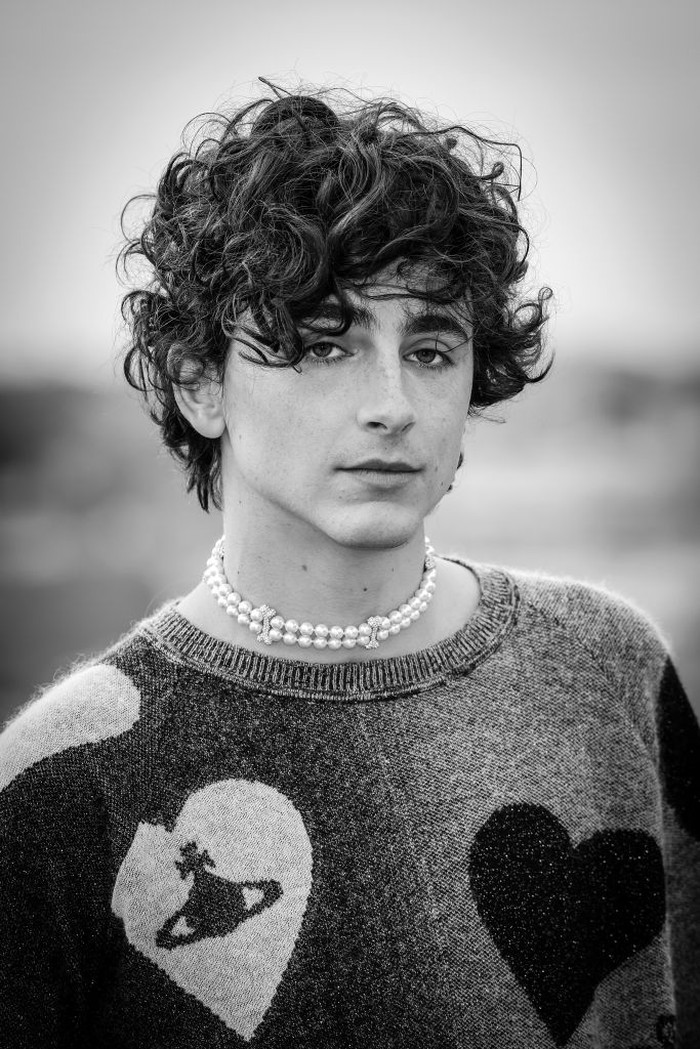 ROME, ITALY - NOVEMBER 12: Timothée Chalamet attends the 