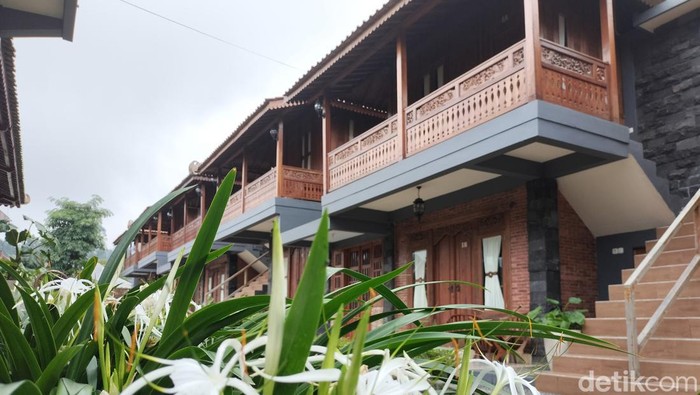 Hotel Joglo Kecombrang Bromo bisa menjadi opsi tempat menginap saat Anda berwisata di Bromo. Hotel ini menawarkan nuansa tradisional dan view yang menawan.