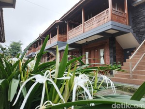 Hotel Joglo Kecombrang Bromo Suguhkan Nuansa Tradisional dan View Menawan