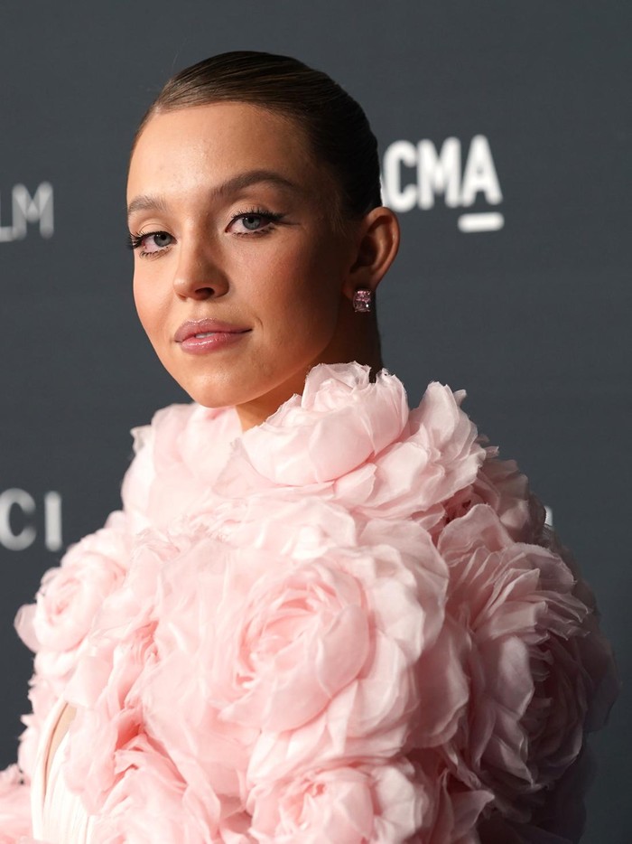 LOS ANGELES, CALIFORNIA - NOVEMBER 05: Sydney Sweeney attends the 2022 LACMA ART+FILM GALA Presented By Gucci at Los Angeles County Museum of Art on November 05, 2022 in Los Angeles, California. (Photo by Presley Ann/Getty Images for LACMA)