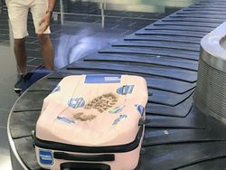 Koper Kaesang Nyasar ke Kualanamu, Bagasi Netizen Ini Miris Nasibnya