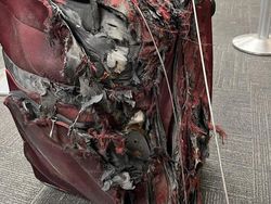 Koper Kaesang Nyasar ke Kualanamu, Bagasi Netizen Ini Miris Nasibnya