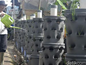 Kidung Adiluhung Menjaga Ketahanan Pangan di Bandung