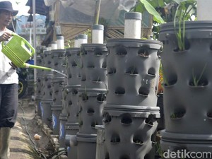 Kidung Adiluhung Menjaga Ketahanan Pangan di Bandung