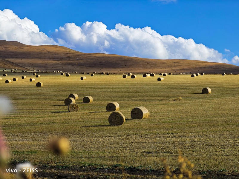 Hasil foto kamera Vivo X90 Pro+