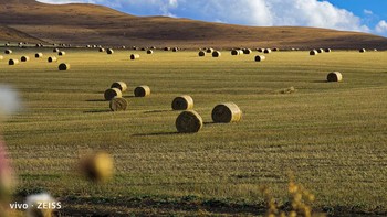 Kamera utamanya akan menggunakan Sony IMX 989 satu inci sebagai sensor utamanya.