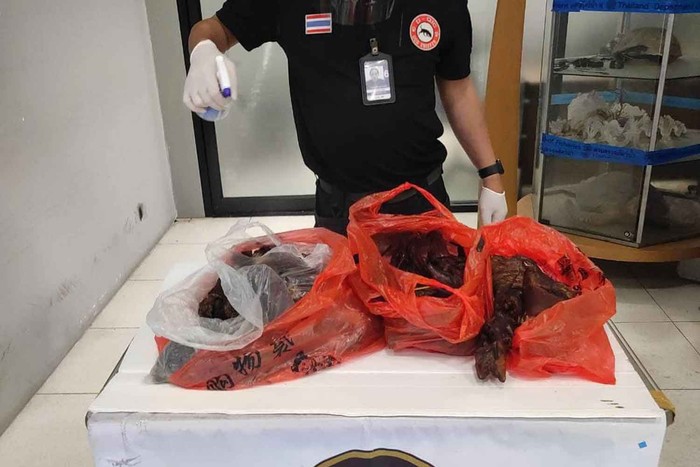 Kacau! Penumpang Ini Ketahuan Selundupkan Daging Kelelawar Asap ke Bangkok