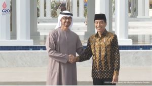 Proyek Masjid Raya Sheikh Zayed Telan Rp 300 M, Ditanggung Uni Emirat Arab