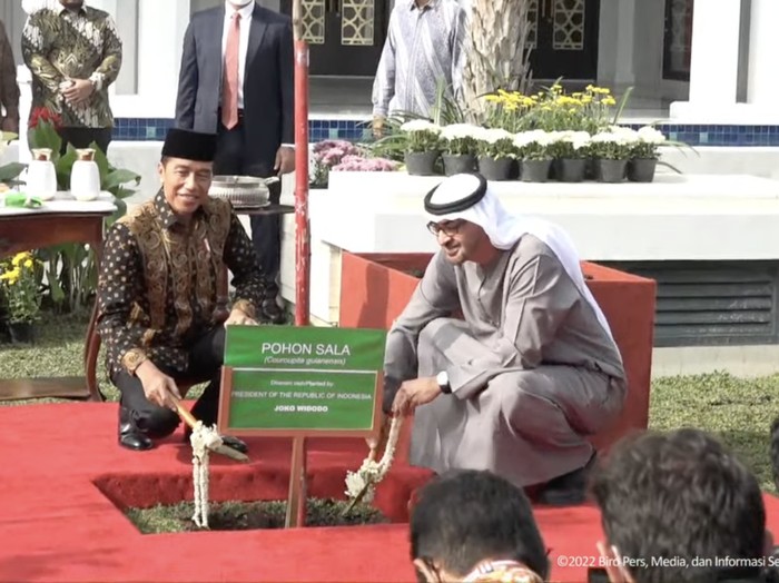 Presiden Joko Widodo (Jokowi) dan Presiden Uni Emirat Arab (UEA) Mohamed Bin Zayed Al-Nahyan meresmikan Masjid Raya Sheikh Zayed Al-Nahyan di Solo, Senin (14/11/2022).