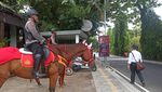 Potret Polisi Berkuda Amankan Jalanan Nusa Dua Sukseskan G20 Bali