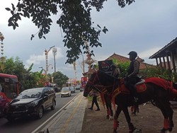 Terdapat total 18 kuda yang akan membantu pengamanan KTT G20 Bali. Foto: Nuranda Indrajaya/detikBali