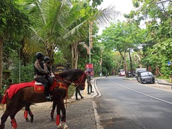 Kepolisian menerjunkan pasukan berkuda yang berasal dari Direktorat Polisi Satwa. Mereka akan bertugas menyusuri jalanan Nusa Dua yang menjadi salah satu venue utama KTT G20 Bali. Foto: Nuranda Indrajaya/detikBali