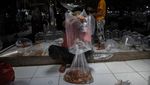 Melihat Pasar Ikan Hias Terbesar Asia Tenggara di Bogor