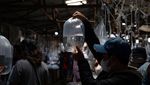 Melihat Pasar Ikan Hias Terbesar Asia Tenggara di Bogor