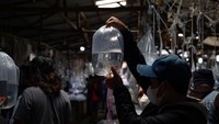 Pasar tersebut berawal dari pedagang ikan yang tidak memiliki lapak dan hanya menggelar karpet untuk berjualan di pinggir jalan. Maka dari situlah cikal bakal terdirinya Pasar Ikan Hias Parung.