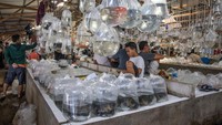 Para pedagang biasanya menjual ikan dalam bentuk grosir. Tak heran, pasar ini selalu ramai dikunjungi warga dari berbagai daerah.