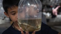 Sejak tahun 2005 pedagang ikan hias mulai menjual ikannya di pinggir jalan Desa Waruh. Hingga pada akhirnya para pedagang dipindahkan ke lahan kosong agar tidak berjualan di pinggir jalan.