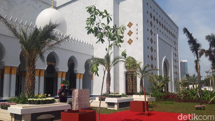Pohon Sala yang ditanam Jokowi dan Presiden UEA Mohamd bin Zayed di Masjid Sheikh Zayed Solo, Senin (14/11/2022).