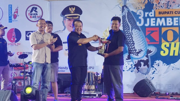 Ribuan Ikan Koi Ikuti Kompetisi di Jember Selama Dua Hari
