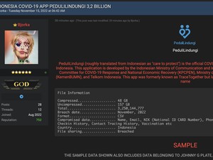Pemilik Situs BreachForums Tempat Bjorka Sebar Data Ditangkap!