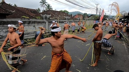 Desa Adat Bebandem, Kecamatan Bebandem, Kabupaten Karangasem, Bali, kembali melaksanakan tradisi metigtig, Selasa (15/11/2022).