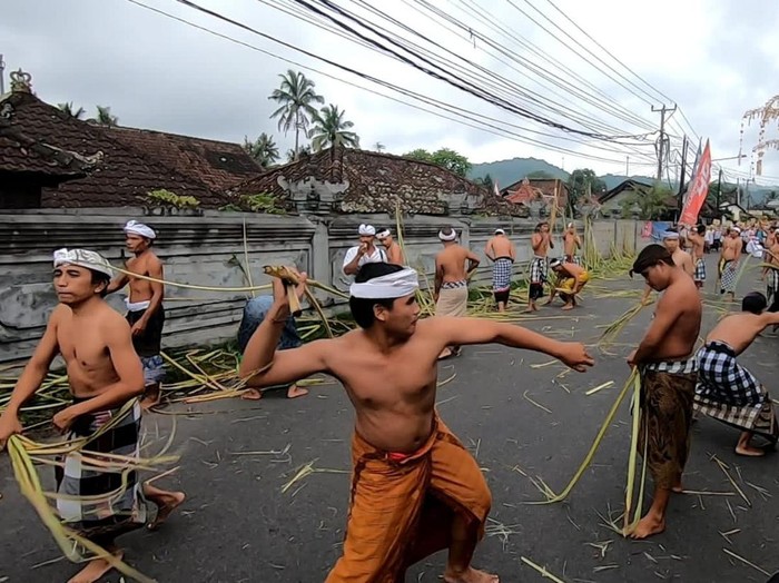 Desa Adat Bebandem, Kecamatan Bebandem, Kabupaten Karangasem, Bali, kembali melaksanakan tradisi metigtig, Selasa (15/11/2022).