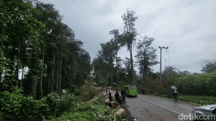 Jalur Cikidang Sukabumi.