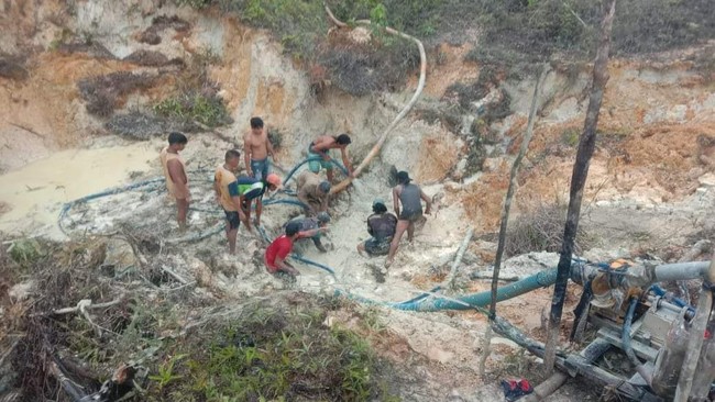 Tambang Emas Ilegal di Kapuas Kalteng Longsor, 3 Orang Tewas Tertimbun
