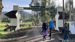 5 Fakta Kawah Ijen, Si Gunung Bule