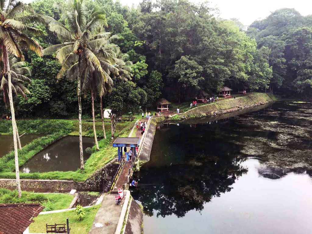 Kesejukan wisata Embung Bual di Desa Aik Bual Kecamatan Kopang Kabupaten Lombok Tengah. Foto: Ahmad Viqi/detikBali.