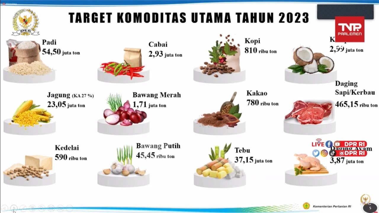 KOMISI IV DPR RI RDP DENGAN ESELON I KEMENTERIAN PERTANIAN.  (Tangkapan Layar Youtube Komisi IV DPR RI)
