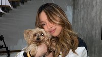 Michelle Ashley pose bareng anjing pada postingan pertama di media sosial. (Foto: dok Instagram)