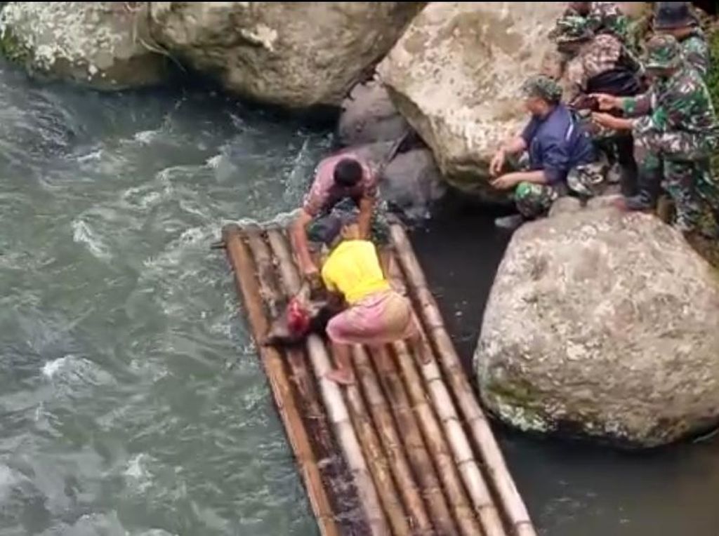 Warga Hilang di Sungai Keramat, Ritual Potong Babi Pun Digelar