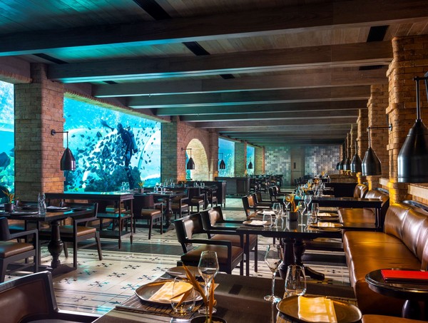 Tamu yang suka kulineran akan dimanjakan dengan fasilitas restoran dan bar di Apurva Kempinski. Di sana terdapat berbagai macam restoran yang menyajikan menu lokal, Barat, Jepang, dan China. Foto: dok. Kempinski Tamu yang suka kulineran akan dimanjakan dengan fasilitas restoran dan bar di Apurva Kempinski. Di sana terdapat berbagai macam restoran yang menyajikan menu lokal, Barat, Jepang, dan China. Foto: dok. Kempinski