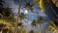Suasana malam dengan bulan bersinar benderang di kala cuaca cerah di Villa So Long Banyuwangi.