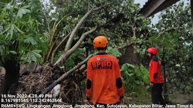 angin kencang di blitar