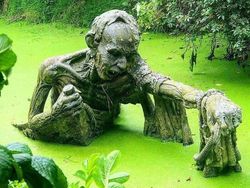 Deretan Foto yang Bikin Was-was dan Takut Saat Dilihat