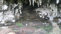 Mengenal Gua Braholo Gunungkidul, Lokasi Mahasiswa UNS Tewas Terjatuh