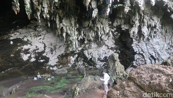 Gua Braholo di Pedukuhan Semugih, Kalurahan Semugih, Kapanewon Rongkop, Kabupaten Gunungkidul, Rabu (16/11/2022).