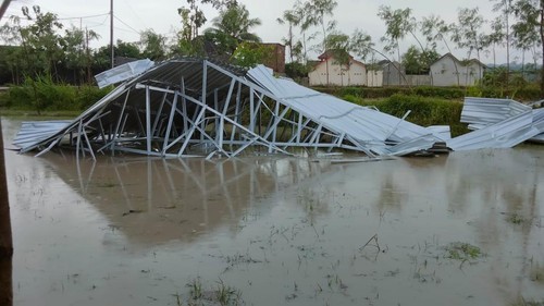 Hujan disertai angin kencang yang menerpa tiga desa dari dua kecamatan di Kabupaten Lombok Tengah mengakibatkan beberapa rumah warga porak poranda, Rabu (16/11/2022) sekitar pukul 14.30 Wita. Foto: IST