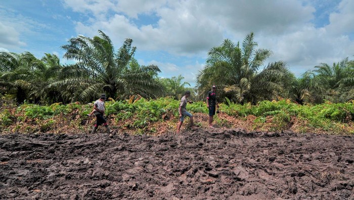 Jalan Penghubung Terputus, Warga Terpaksa Lewat Jalanan yang Berlumpur Kendaraan roda dua dan empat ditinggalkan pemiliknya di ujung jalan penghubung Kecamatan Nipah Panjang dan Sadu yang tidak bisa dilintasi di Tanjungjabung Timur, Jambi, Rabu (16/11/2022). Sejak tiga hari terakhir jalan penghubung dua kecamatan atau jalan satu-satunya menuju Desa Sungai Sayang dan Air Hitam Laut di pesisir timur Provinsi Jambi itu terputus dan tidak bisa dilalui kendaraan karena berlumpur yang dipicu masih tingginya intensitas hujan dalam beberapa pekan terakhir. ANTARA FOTO/Wahdi Septiawan/tom.