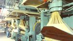Kesibukan Pabrik Pasta Terbesar di Dunia yang Produksi Ribuan Ton Pasta Setiap Harinya!