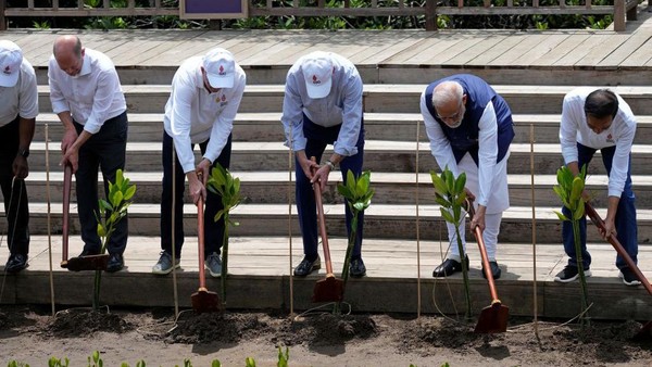 Jokowi dan para pemimpin dunia kemudian berjajar sambil memegang cangkul. Mereka menanam mangrove di Tahura.  