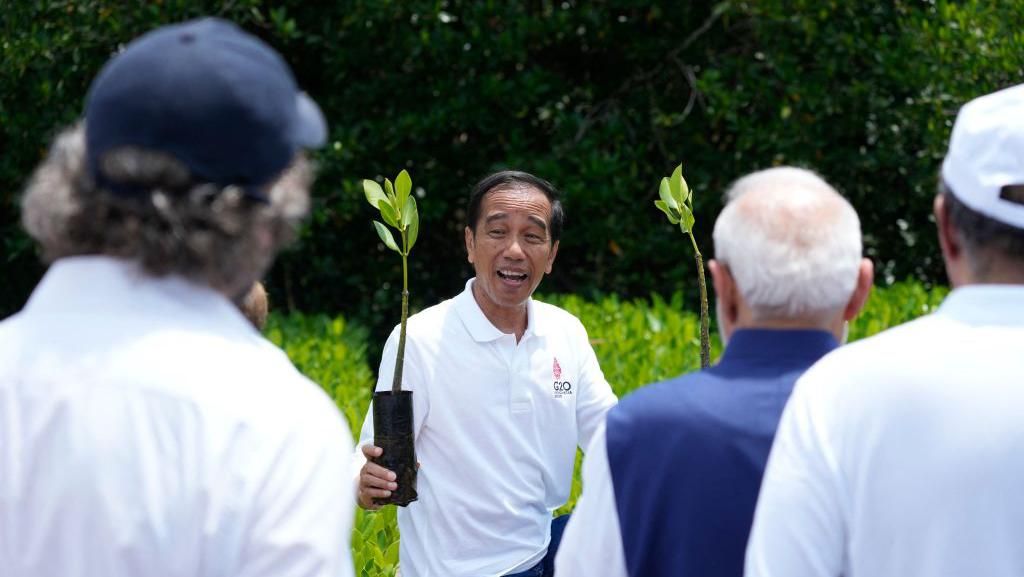 Kunjungi Hutan Mangrove, Jokowi Ajak Biden Cs Bangun Ekonomi Hijau