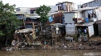 Sari mengatakan ada 42 rumah yang telah dibayarkan ganti rugi sehingga sudah dirobohkan. Sementara, 19 rumah yang tersisa masih berdiri di tengah rumah-rumah yang telah rata dengan tanah. Agung Pambudhy/Detikcom