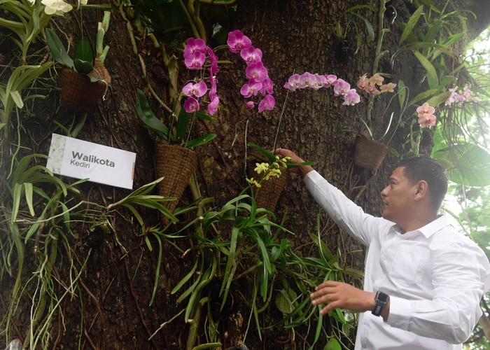 Wali Kota Kediri, Abdullah Abu Bakar bersama dengan DLHKP dan DKPP berinisiatif menggunakan Hutan Kota Joyo Boyo untuk konservasi anggrek.