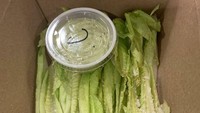 Lagi-lagi penampakan salad menyedihkan. Hanya selada dengan taburan sedikit keju parmesan dan dressing. Harganya USD 15 (Rp 234 ribu).