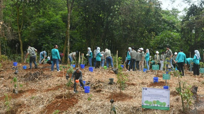 Aksi Tanam Pohon Lestarikan Lingkungan Hidup Aksi Tanam Pohon Lestarikan Lingkungan Hidup